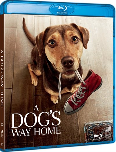 A Dogs Way Home Blu-Ray